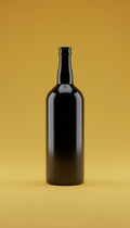 Classic Bottle in Night Black